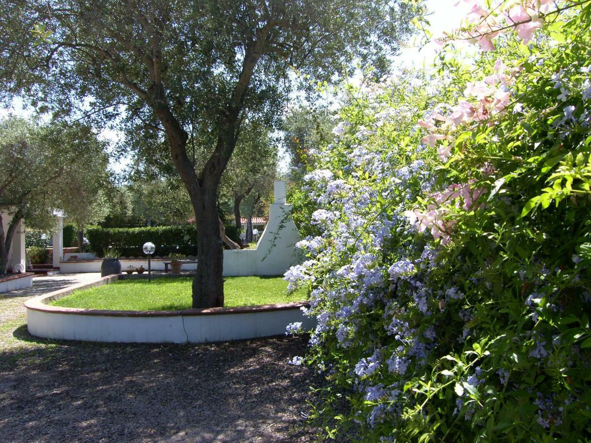 Villa Sarda Sorso Extérieur photo